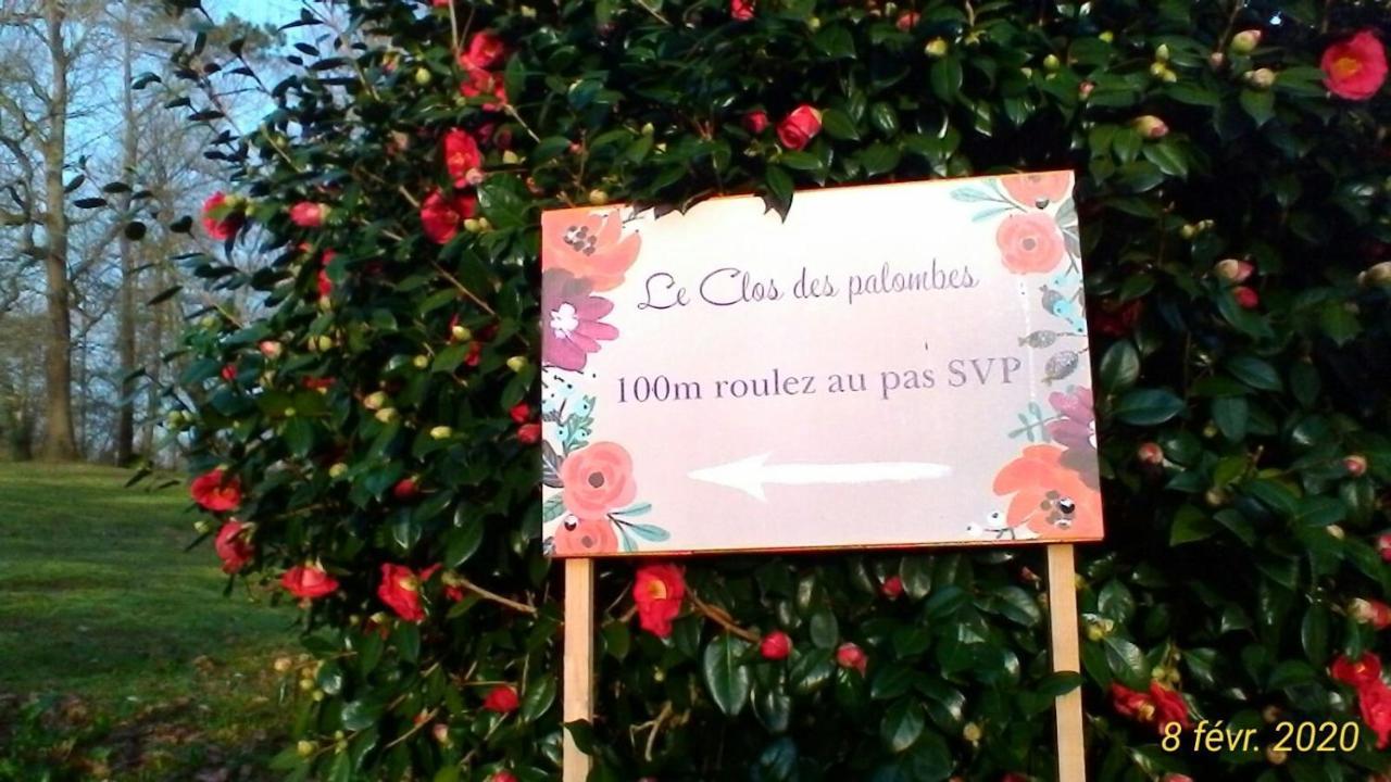 Le Clos des Palombes Saint-Pierre-du-Mont  Exterior foto